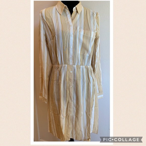 Pink Rose Dresses & Skirts - 💼 PINK ROSE Gold mustard Stripe long sleeve shirtdress neutral pinstripe